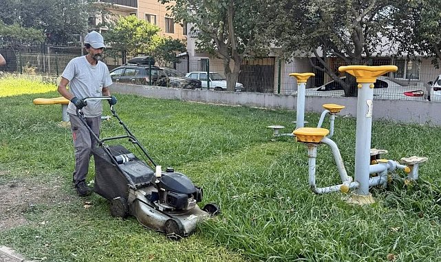 Körfez'de park ve bahçelere bakım işlemi