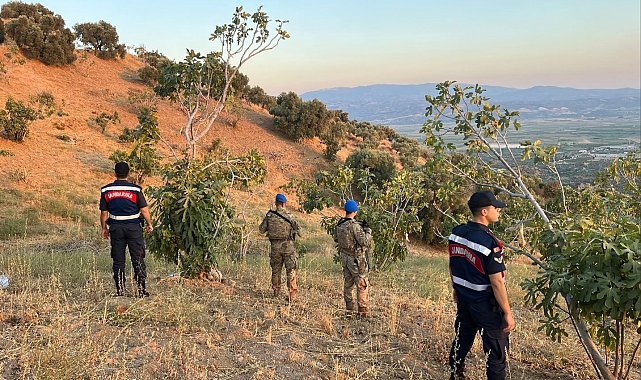 Köşk'te jandarmadan incir nöbeti