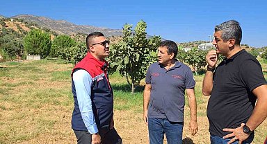 Köşk'te tarımsal zararlılarla mücadele için sahaya indiler