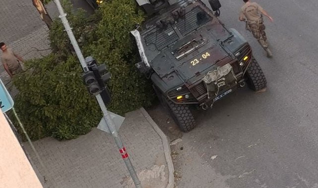 Kovancılarda ağaç dalları kırıldı