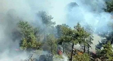 Köyceğiz Otmanlar yangını devam ediyor