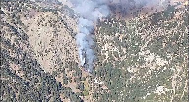 Köyceğiz yangını kontrol altında
