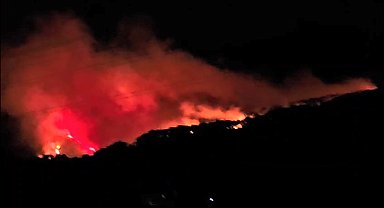 Köyceğiz'de orman yangını müdahale devam ediyor