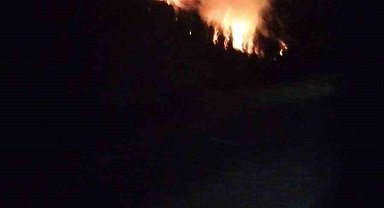 Köyceğiz'de orman yangını