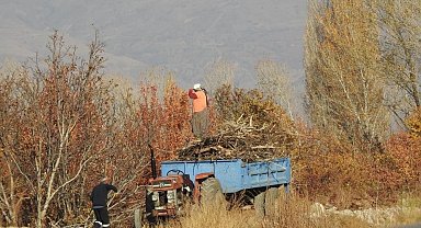 Köylerde kışlık odun hazırlığı