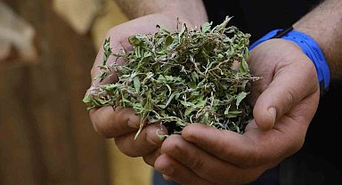 Kurusunun 100 gramı ile bir öğünlük yemek pişiyor