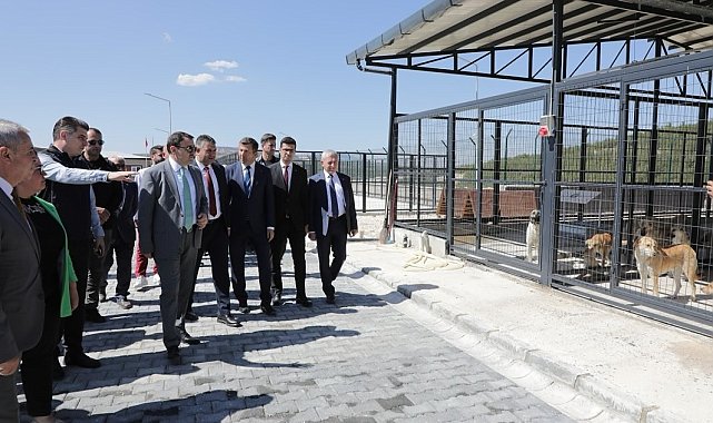 Kütahya Valisi Işın'dan Şaphane'de yapımı tamamlanan hayvan barınağında inceleme