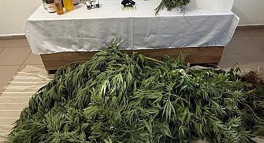 Kütahya'da jandarmadan uyuşturucu ve kaçakçılık operasyonu