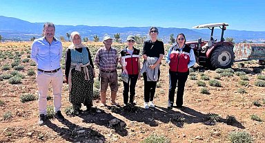 Kütahya'da ürünlerin organik geçiş sertifikasyon işlemleri için parsel kontrolleri ve numune alımları