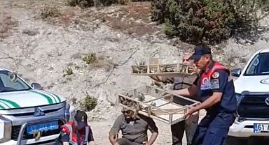 Kütahya'da yakalanan 142 saka kuşu doğaya salındı