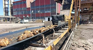 Malatya Şeker Fabrikası'nda 62 bin ton şeker üretimi hedefleniyor