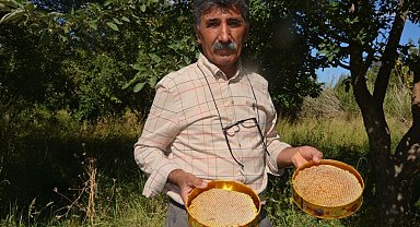 Malatya'da bal hasadı başladı