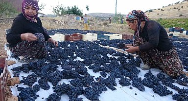 Malatya'da kilosu 500 TL'den alıcı bulan kuru üzüm yüz güldürüyor