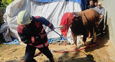 Malatya'da korkutan ahır yangını
