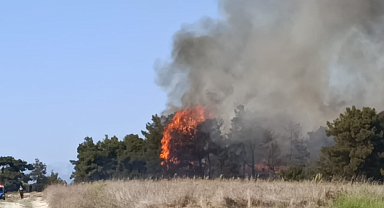 Manavgat'ta arazide başlayan yangın ormanlık alana sıçradı