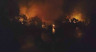 Manavgat'ta ırmak kenarındaki yangın korkuttu