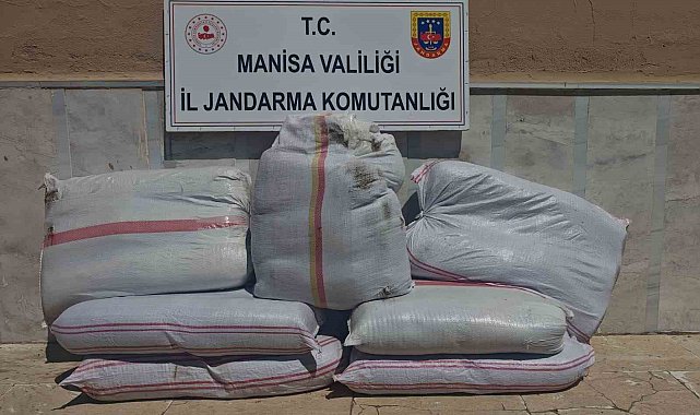 Manisa'da 350 kilo kaçak tütün ele geçirildi