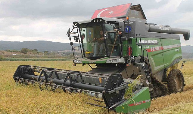 Manyas Ovası'nda çeltik hasadı başladı