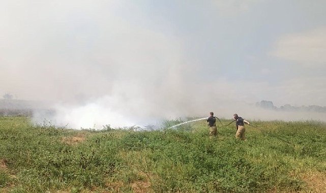 Manyas ve Bandırma arasında sazlık alanda yangın çıktı