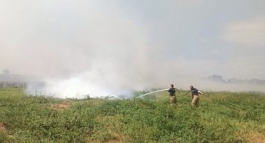 Manyas ve Bandırma arasında sazlık alanda yangın çıktı