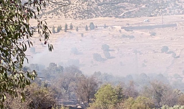 Mardin'de çıkan orman yangını söndürüldü