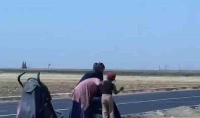 Mardin'de dilenci kadınlar yol ortasında kavga etti