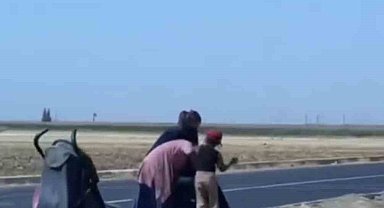 Mardin'de dilenci kadınlar yol ortasında kavga etti