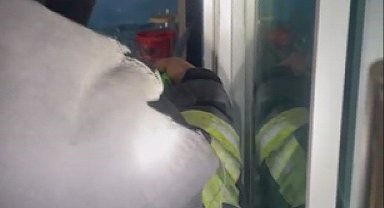 Marketin soğutma dolabına giren yılanı, itfaiye yakaladı