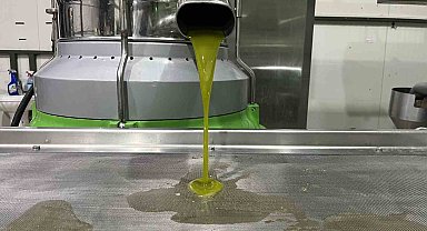 Marmara bölgesinin ilk zeytinyağı sıkımı gerçekleşti