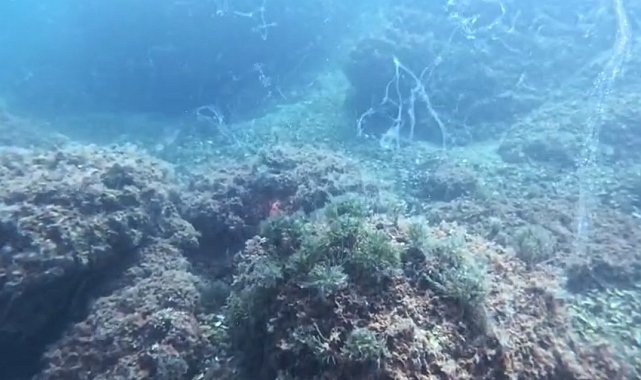 Marmara Denizi'nde yeni müsilaj alarmı
