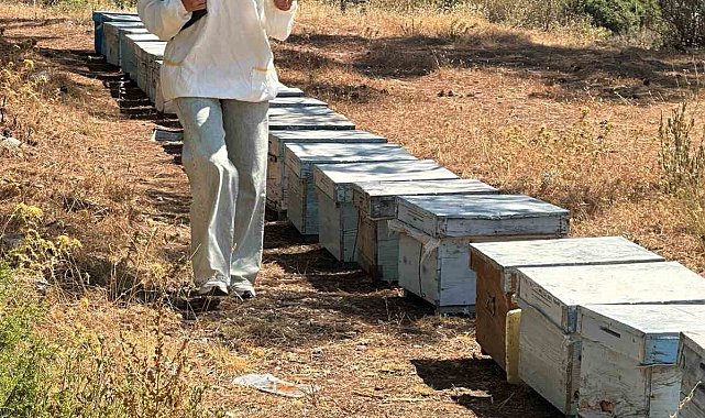 Menteşe'de arı kovan destekleme tespit çalışmaları devam ediyor