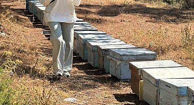 Menteşe'de arı kovan destekleme tespit çalışmaları devam ediyor