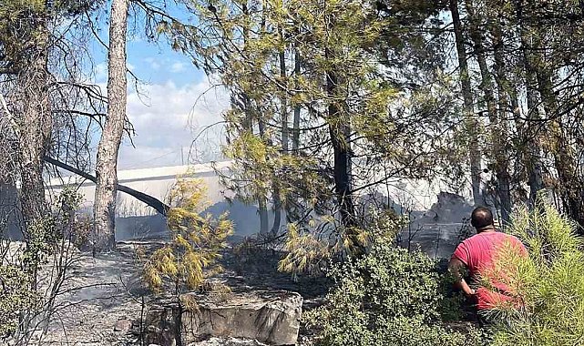 Menteşe'deki yangın kısa sürede söndürüldü