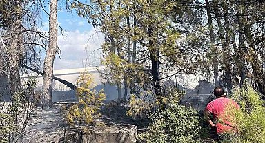 Menteşe'deki yangın kısa sürede söndürüldü