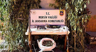 Mersin'de bahçelerine kenevir eken 3 şüpheli yakalandı