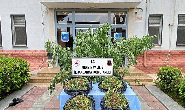 Mersin'de zehir tacirlerine darbe