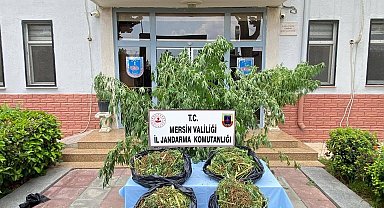 Mersin'de zehir tacirlerine darbe