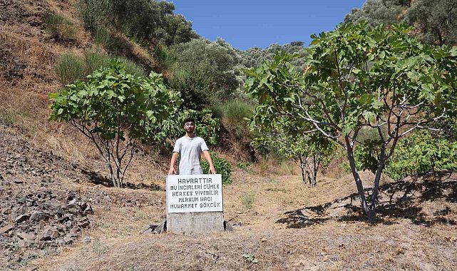 Mezar taşı değil, 'herkes yesin' uyarısı
