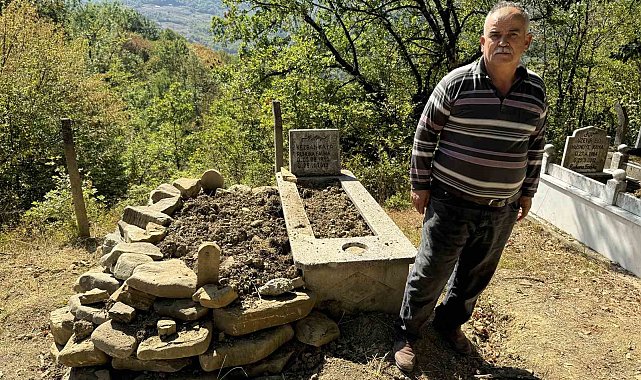 Mezarı kazıp tahtaları kıran ayı cenazeye ulaşamadan kaçtı