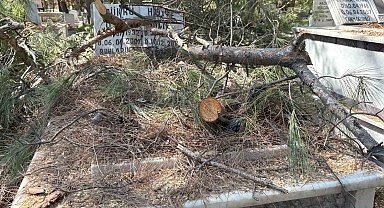 Mezarlıkta budanan ağaçlar kabirlere zarar verdi