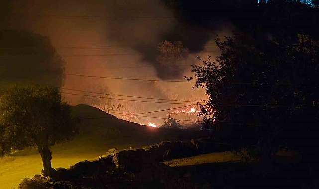 Milas'ta çıkan sazlık yangını hızlı müdahaleyle kontrol altına alındı