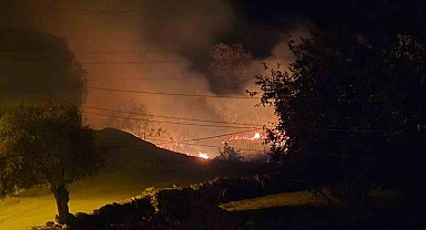 Milas'ta çıkan sazlık yangını hızlı müdahaleyle kontrol altına alındı