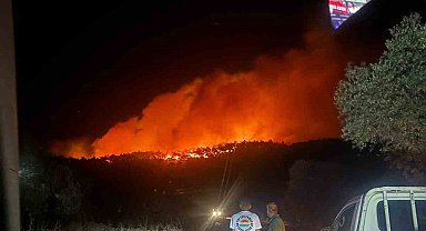 Milas'ta orman yangını müdahale devam ediyor