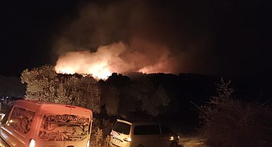 Milas'ta orman yangını