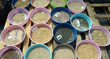 Muğla Büyükşehir 2026 yılında 4 Milyon ata tohumu dağıtımı hedefliyor