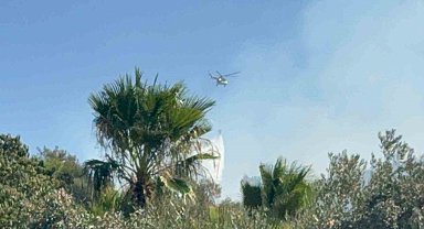 Muğla'da ekipler 3 bölgede alevlerle mücadele ediyor