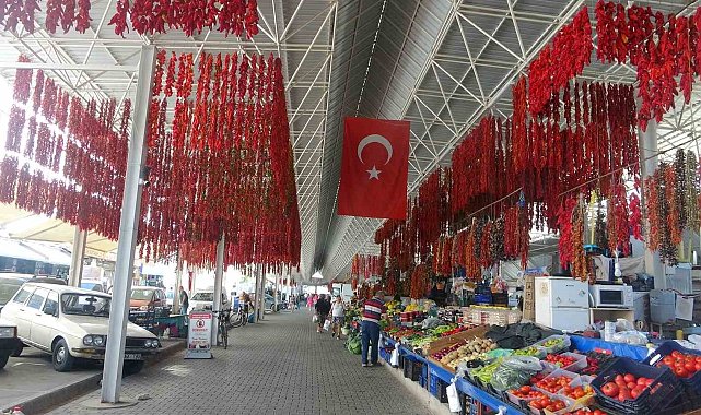 Muğla'da kurutmalıklar yurt dışına açıldı