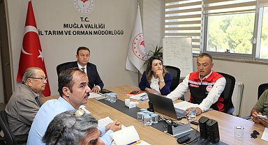 Muğla'da zeytin rekolte tahmini toplantısı yapıldı