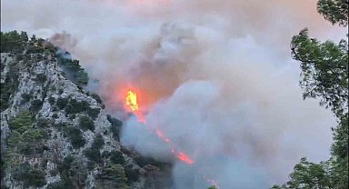 Muğla'daki yangınlara havadan müdahale başladı
