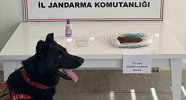 Muş'ta uyuşturucu operasyonu: 2 gözaltı